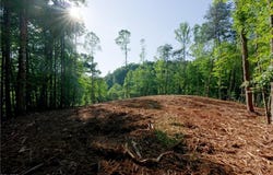8 Old Mill Road, Pinnacle, NC 27043