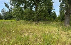 2911 E Sanilac Road, Wells Twp, MI 48723