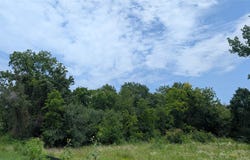 4829 Adobe Lane, Denison, TX 75020