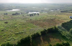 227 Vineyard View Trail, Carmine, TX 78932