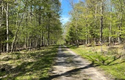 6.89 ACRES WOODLANDS HILL DR, OAKLAND, MD 21550