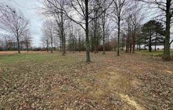 32R River Birch Drive, Guy, AR 72061