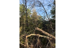 142 Helemano Dr, Bastrop, TX 78602