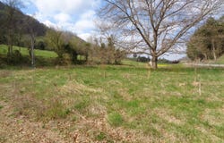 7918 Kyles Ford Hwy, Kyles Ford, TN 37765