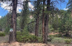 Elk Ridge Estates lot: # 18 Phase 6, Alton, UT 84710