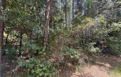 352 Neches Dr, Bullard, TX 75757