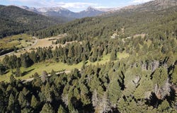 Pony Creek, Bozeman, MT 59715
