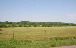 260 Sturgis Road, Conway, AR 72034