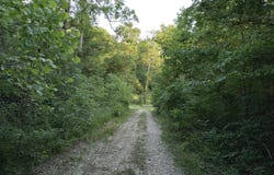 1237M High Rock Road, Stanton, KY 40380