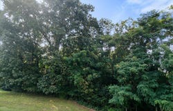 8156 RIVER COURSE Drive, Radford, VA 24141