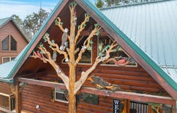 551 Blackberry Ridge Way, Pigeon Forge, TN 37863