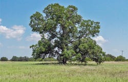 71.63 Acres Slusher Rd, Jacksboro, TX 76458