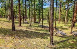 16 N1062, Greer, AZ 85927