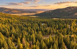 106 Bent Pine Lane, Kila, MT 59920
