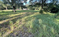 Roberts Lane, Wesson, MS 39191