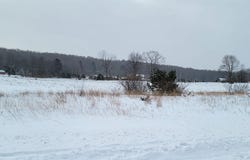 Alden Meadows lot: 44, Alden, MI 49612