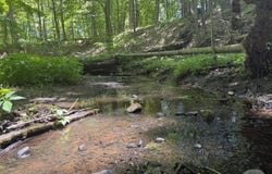 Hagerman Road, Leonard, MI 48367
