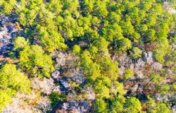 Cedar Court lot: 30, Trinity, TX 75862
