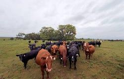 Rural 886 Rd & 498 Ave, Lynch, NE 68746