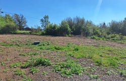 Shoreview Drive, Chiloquin, OR 97624