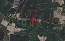 Walls Mill Road, Aurora, NC 27806