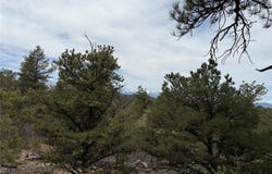 672 Coyote Trail, Cotopaxi, CO 81223