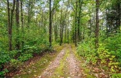 15085 E McNeal Road, MONROE CENTER, IL 61052