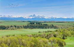 376 N 4350 E, St. Anthony, ID 83445