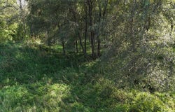 Hogback Bridge Road, Winterset, IA 50273
