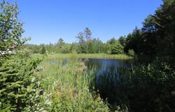 8 Martins Lane, Glenburn, ME 04401
