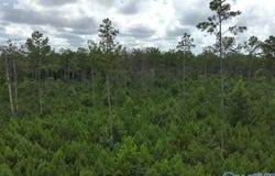 Taylor Circle lot: C, Somerville, AL 35670