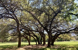 110 County Road 4270, Clifton, TX 76634