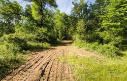 180th Street, Milaca, MN 56353
