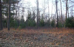 Indian Oaks Lot 29, Prudenville, MI 48651