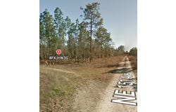 TBD NE 12 Street, WILLISTON, FL 32696