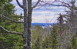 39 Needles Eye Road, Lamoine, ME 04605