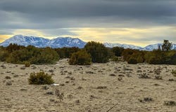 Walsenburg, CO 81089