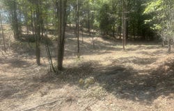 13 Stonechase Lane, Cohutta, GA 30710