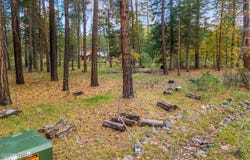 7 2190, Alpine, AZ 85920
