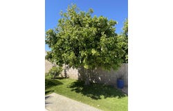 81620 Avenue 49, Indio, CA 92201
