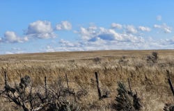 Carey, ID 83320