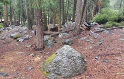 5 Yana Trail, Graeagle, CA 96103
