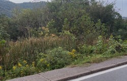 27557 Second Avenue, WV 25102