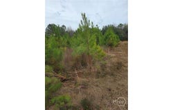 861 Brinson Road, Brooklet, GA 30415