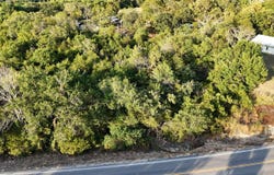 State Highway 86 lot: 13, Eagle Rock, MO 65641