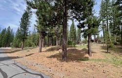 153 Saddle Ridge Road lot: 5, Clio, CA 96106