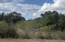 Wilke Rd, Kingsbury, TX 78638