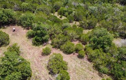 228 Spring Rd lot: 32, Fredericksburg, TX 78624