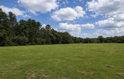 38235 N Walker Rd, Walker, LA 70785