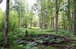 E Long Lake Road, Harrison, MI 48625